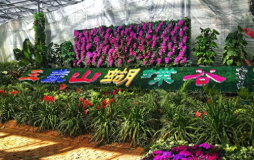 宝鸡凤翔景点排名前十(凤翔各镇排名)插图6