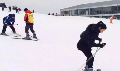 徐州滑雪机构排名前十(徐州早教机构有哪些)插图4