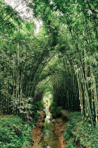 德庆景点大全排名前十(德庆有哪些景点)插图5