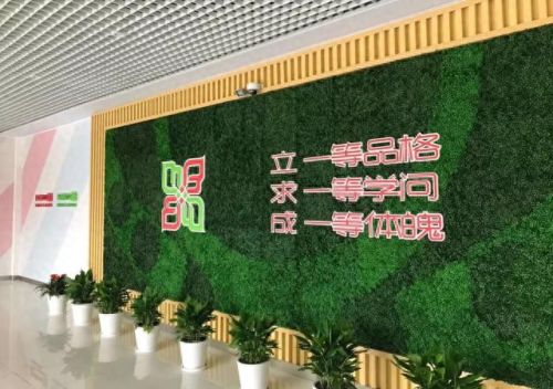 南汇小学面积排名前十(南汇小学一览表)插图27