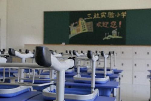 南汇小学面积排名前十(南汇小学一览表)插图23