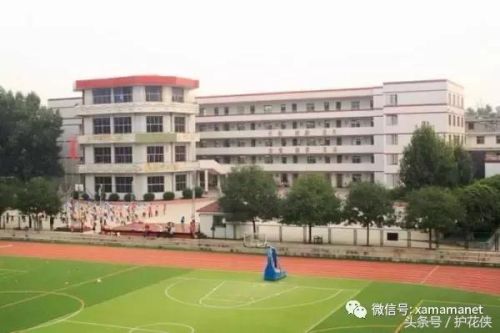西安小学教科书排名前十(西安买学生用书在哪买)插图3