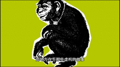 人类起源书籍排名前十(人类从哪里来人类的起源)