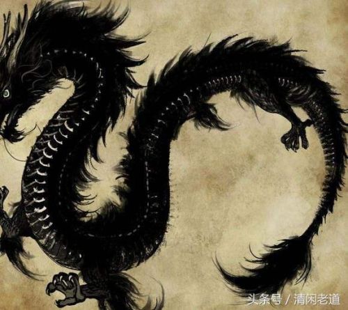 中国神龙家族排名前十(唐神龙)插图7