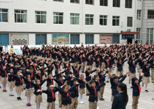 全省排名前十的小学(全市最好小学排名)插图