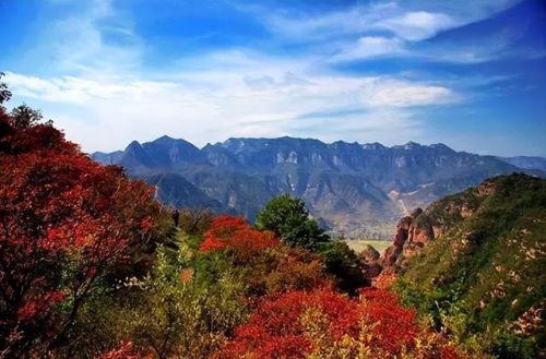 全国最美月份排名前十(2018年全国1)插图45