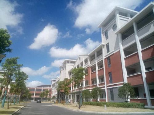 南汇小学面积排名前十(南汇小学一览表)插图25