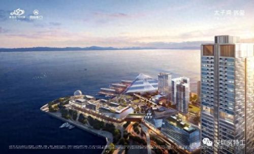 深圳韩国豪宅排名前十(深圳山顶最贵豪宅)插图5