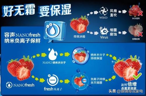 金属隔热冰箱排名前十(底部散热的冰箱有哪些品牌)插图1