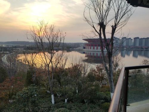 郓城小区涨价排名前十(郓城县各小区的房价)