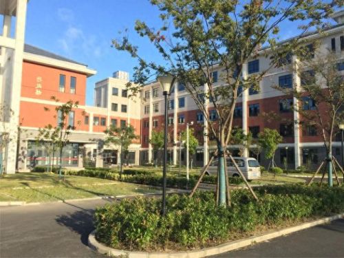 南汇小学面积排名前十(南汇小学一览表)插图13