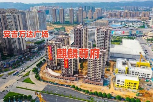 广西稀缺产品排名前十(广西农产品品牌)插图13