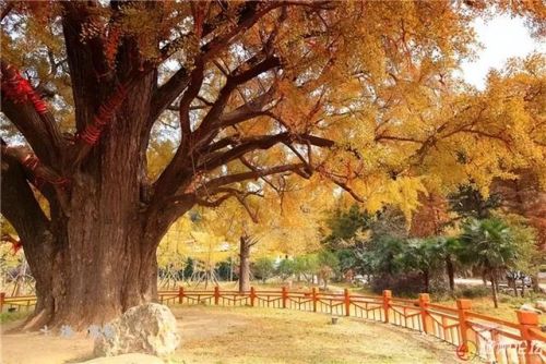 全国最美月份排名前十(2018年全国1)插图41
