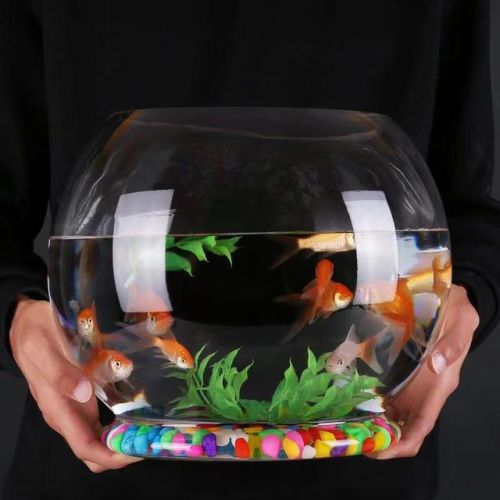 小圆鱼缸厂家排名前十(小鱼牌鱼缸哪里生产的)插图3