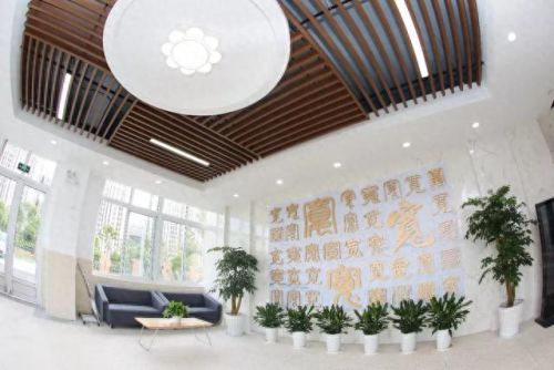 南汇小学面积排名前十(南汇小学一览表)插图20