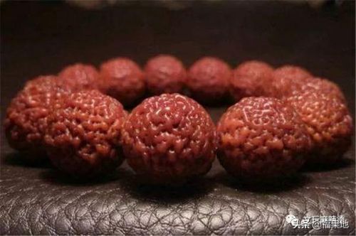 冷门品牌首饰排名前十(小众品牌首饰有哪些)插图4