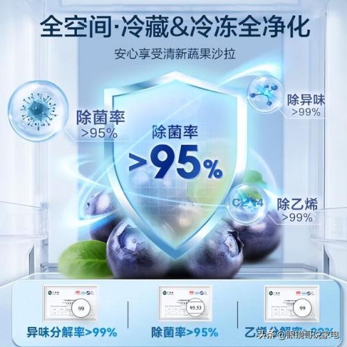 金属隔热冰箱排名前十(底部散热的冰箱有哪些品牌)插图5