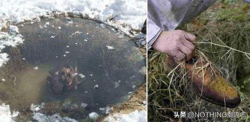 意大利工艺工厂排名前十(意大利求职)插图7