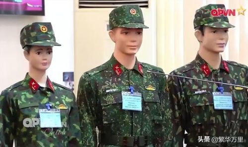 越南著名部队排名前十(越南解放军)