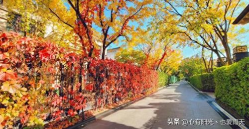 北京独栋豪宅排名前十(北京豪宅前十排名)插图80