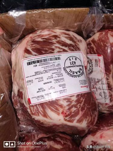 进口牛肉部位排名前十(中国进口俄罗斯牛肉价格)插图1