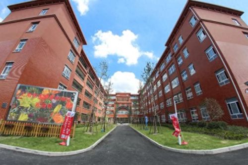 南汇小学面积排名前十(南汇小学一览表)插图14