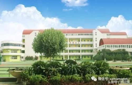 西安小学教科书排名前十(西安买学生用书在哪买)插图7