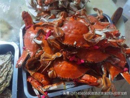 唐山乐亭名宿排名前十(唐山最特色民宿)插图11