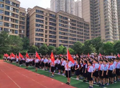 全省排名前十的小学(全市最好小学排名)插图2