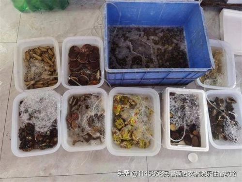 唐山乐亭名宿排名前十(唐山最特色民宿)插图8