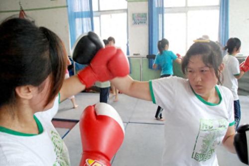 沈阳专科全国排名前十(原沈阳电力专科学校在哪里)插图