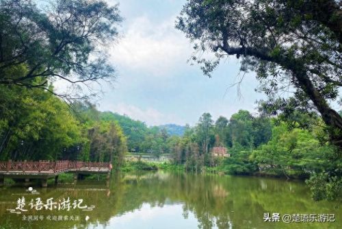 开平游玩景点排名前十(开平十大免费景点排名)插图
