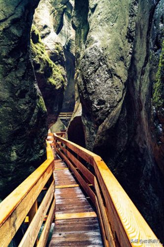 贵州仁怀景点排名前十(贵州仁怀旅游十大景点排名)