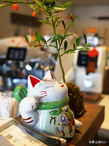 苏州咖啡品种排名前十(咖啡的分类品种及特点)插图3