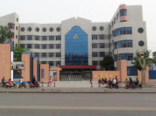 全省排名前十的小学(全市最好小学排名)