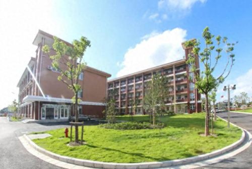 南汇小学面积排名前十(南汇小学一览表)插图18