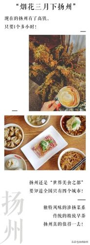 徐州早茶排名前十店面(徐州早茶老字号)插图2
