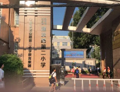 全省排名前十的小学(全市最好小学排名)插图3