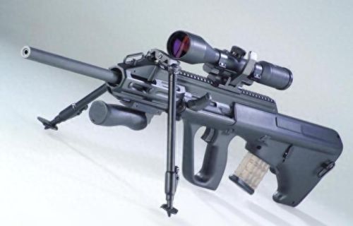 轻武器枪排名前十(轻武器射击场地设置)插图6