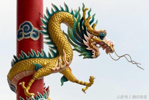 中国神龙家族排名前十(唐神龙)插图1
