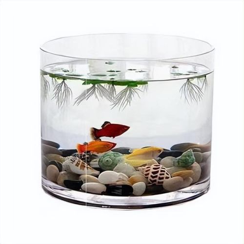 小圆鱼缸厂家排名前十(小鱼牌鱼缸哪里生产的)插图2