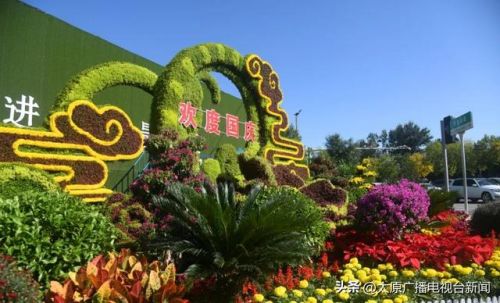 太原鲜花产量排名前十(太原鲜花网上订购)插图1