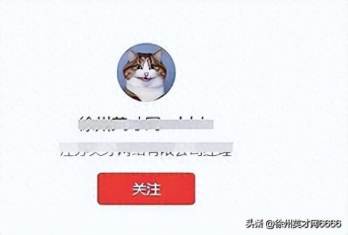 徐州最好中介排名前十(全国排名前十的中介)