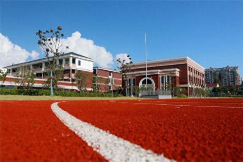 南汇小学面积排名前十(南汇小学一览表)插图22