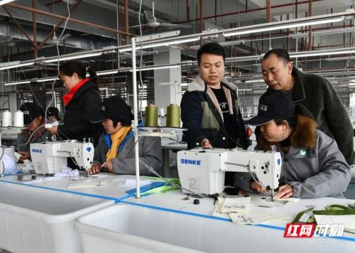 常宁服装企业排名前十(服装行业排名)插图2