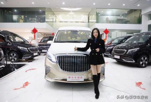 世界豪华商务车排行榜(最舒适的商务车排名)插图58