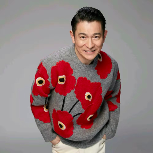 香港明星大全男排行榜(香港演员前50排名)插图8