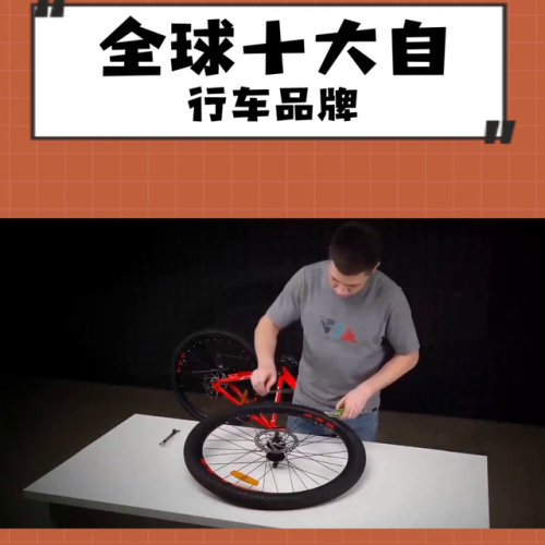 顶级自行车品牌排行榜(全球十大高端自行车品牌)