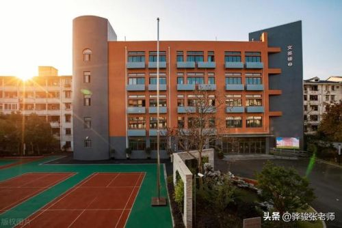 建安区小学排名前十(许昌私立小学排名一览表最新)插图2