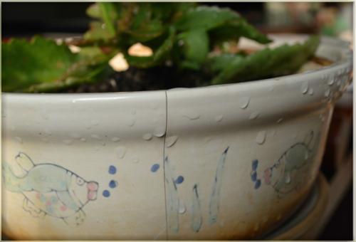 奶锅木柄厂家排名前十(奶锅十大品牌)插图41 奶锅木柄厂家排名前十(奶锅十大品牌)插图41